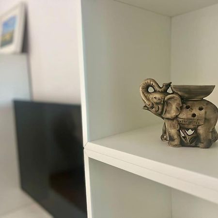 Cipariu Corner Daire Kaloşvar Dış mekan fotoğraf